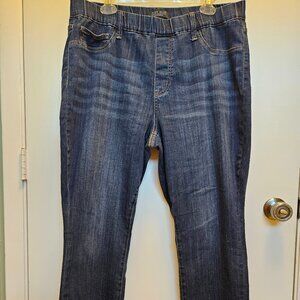 Size 18W Pull-On Style Judy Blue Jeans